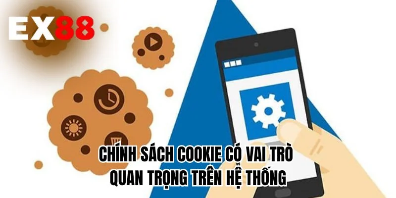 Chính sách cookie có vai trò quan trọng trên hệ thống