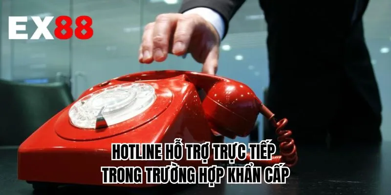 Hotline hỗ trợ trực tiếp trong trường hợp khẩn cấp