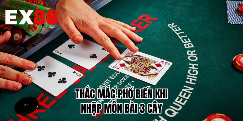Thắc mắc phổ biến khi nhập môn bài 3 cây